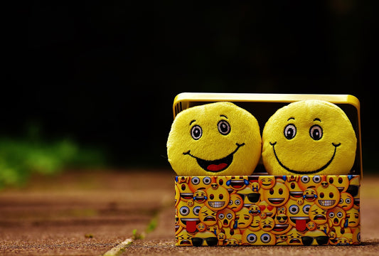 Emotion accompany